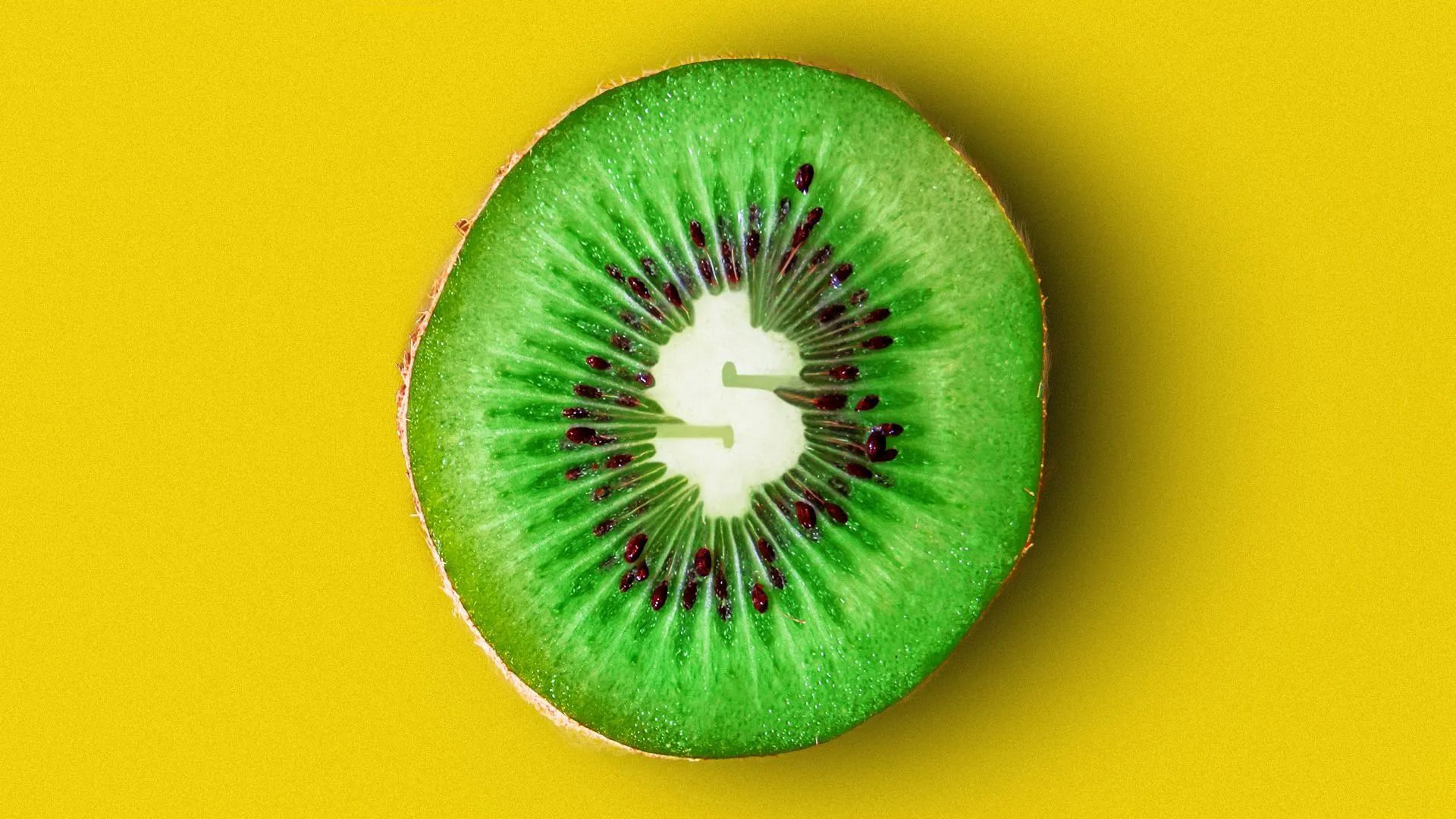 Invest Kiwi